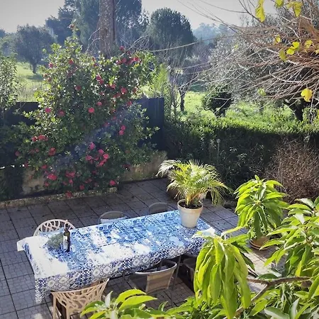 Apartmán Casa Azul , Private Portugal ! Tomar